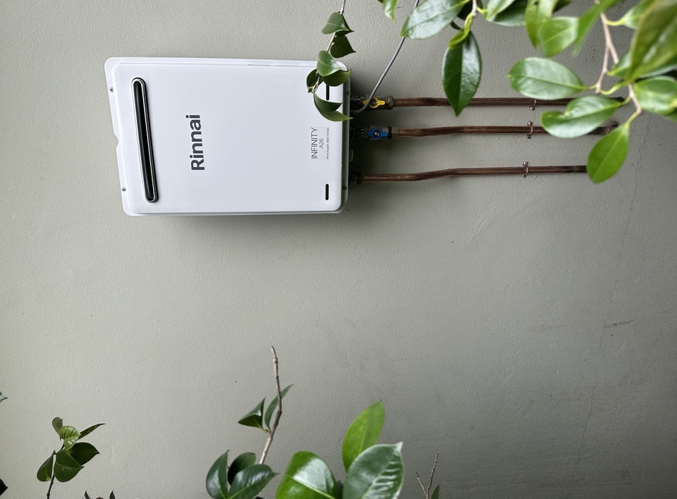 Rinnai INFINITY  hot water unit with plants in background